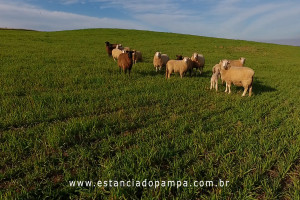 OS ARAGANOS   HERANÇAS 1984.00_01_44_12.Quadro008_eea3e6ddd2d6b4b074cb88c94df83af053b23b47.jpg